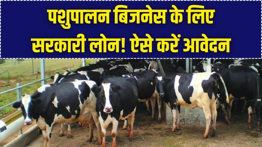 Dairy Farming Loan Scheme: खुद का पशुपालन बिजनेस शुरू करने के लिए सरकार देगी बड़ा लोन; ऐसे भरें फॉर्म।