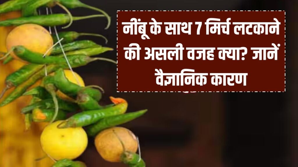 नींबू के साथ 7 मिर्च लटकाने की असली वजह? सिर्फ अंधविश्वास नहीं! इसके पीछे छिपा है गहरा वैज्ञानिक कारण, जानकर रह जाएंगे दंग।