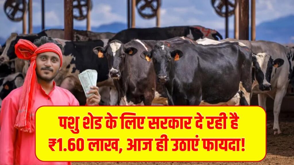 MGNREGA Pashu Shed Yojana: पशुपालकों को शेड बनाने के लिए मिलेंगे ₹1.60 लाख तक! यहाँ से करें आवेदन।