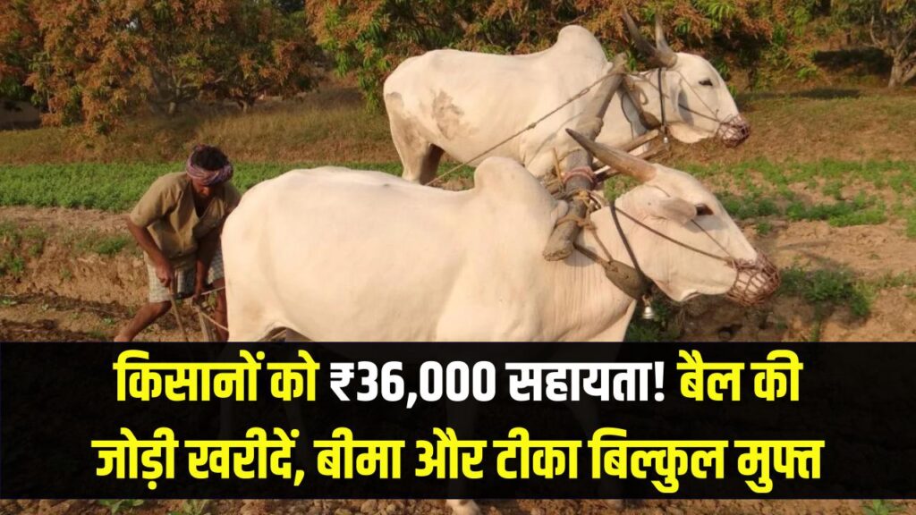 palamu joda bail yojana 40000 ox pair in 4000 details