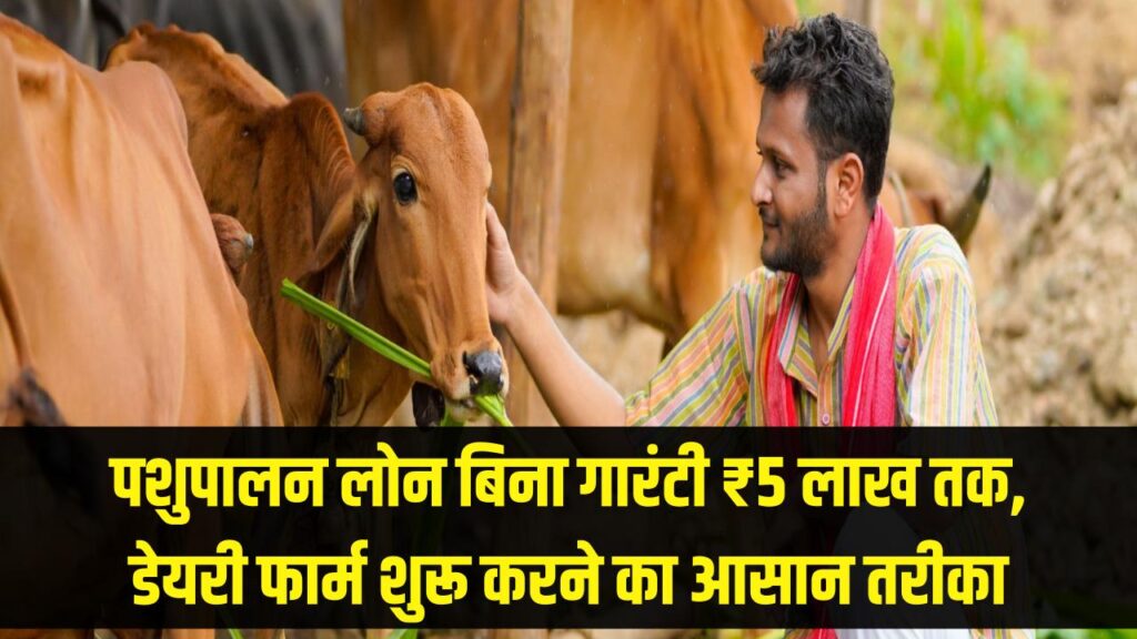 पशुपालन के लिए बिना गारंटी मिलेगा ₹5 लाख तक का लोन! डेयरी फार्म खोलने का सुनहरा मौका, जानें आवेदन की सबसे आसान प्रक्रिया 1 पशुपालन के लिए बिना गारंटी मिलेगा ₹5 लाख तक का लोन! डेयरी फार्म खोलने का सुनहरा मौका, जानें आवेदन की सबसे आसान प्रक्रिया