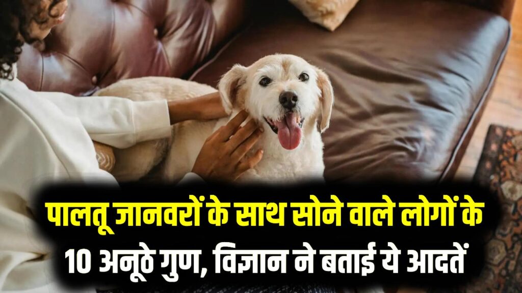 पालतू जानवरों के साथ सोने वाले लोगों के 10 अनूठे गुण, विज्ञान ने बताया, ये आदतें आपको बनाती हैं दूसरों से अलग