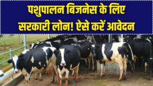 Dairy Farming Loan Scheme: खुद का पशुपालन बिजनेस शुरू करने के लिए सरकार देगी बड़ा लोन; ऐसे भरें फॉर्म।