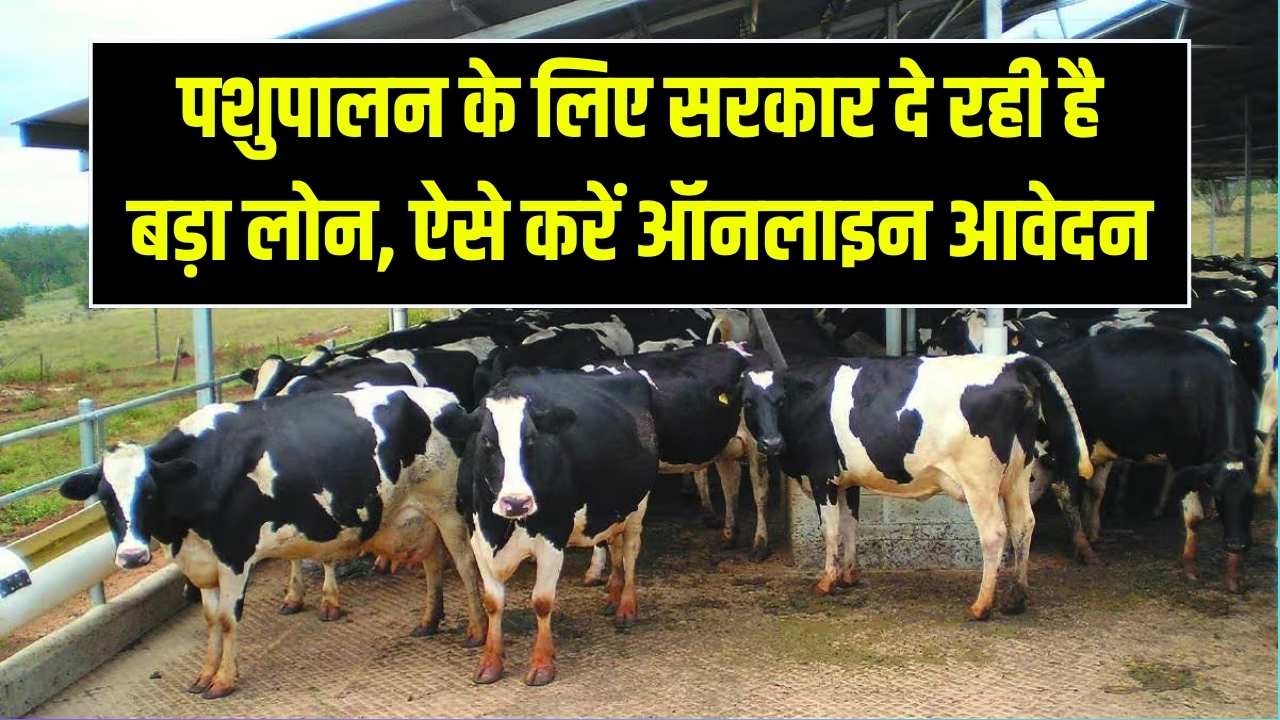 Dairy Farming Business: पशुपालन के लिए सरकार दे रही है बंपर लोन और सब्सिडी! डेयरी फार्म खोलने का शानदार मौका, ऐसे भरें फॉर्म।