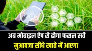 Digital Crop Survey: अब मोबाइल ऐप से होगा फसल सर्वे, मुआवजा सीधे खाते में आएगा