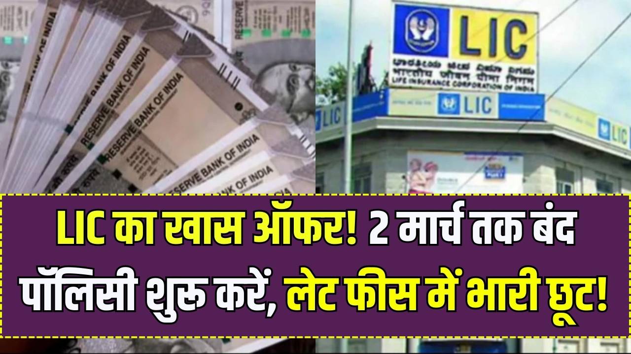 LIC Policy Alert: बंद LIC पॉलिसी को दोबारा शुरू करने का आखिरी मौका! 2 मार्च तक लेट फीस में भारी छूट, बीमा का फायदा फिर से पाएं।