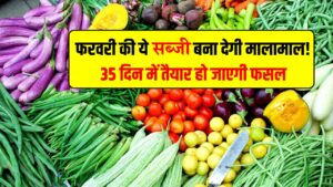 फरवरी की ये सब्जी बना देगी मालामाल! 35 दिन में तैयार, मंडी भाव ₹80/kg से ज्यादा