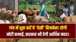 Village Goldmine: शहर की भीड़ छोड़िए, गांव में शुरू करें ये 'देसी' बिजनेस! अपनी जमीन पर करें मोटी कमाई, सरकार भी देगी मदद।
