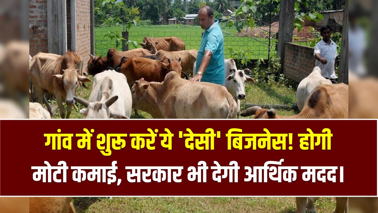 Village Goldmine: शहर की भीड़ छोड़िए, गांव में शुरू करें ये 'देसी' बिजनेस! अपनी जमीन पर करें मोटी कमाई, सरकार भी देगी मदद।
