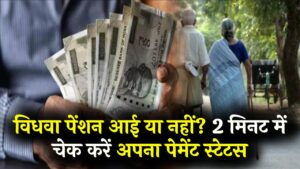 विधवा पेंशन का पैसा खाते में आया या नहीं? घर बैठे 2 मिनट में ऐसे चेक करें अपना पेमेंट स्टेटस, देखें नई लिस्ट