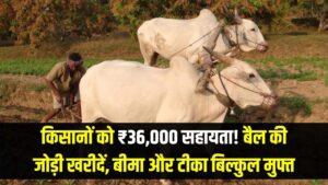 किसानों को मिलेंगे ₹36,000! बैलों की जोड़ी खरीदने के लिए सरकार दे रही है बड़ी सहायता, साथ में बीमा और टीका भी बिल्कुल मुफ्त