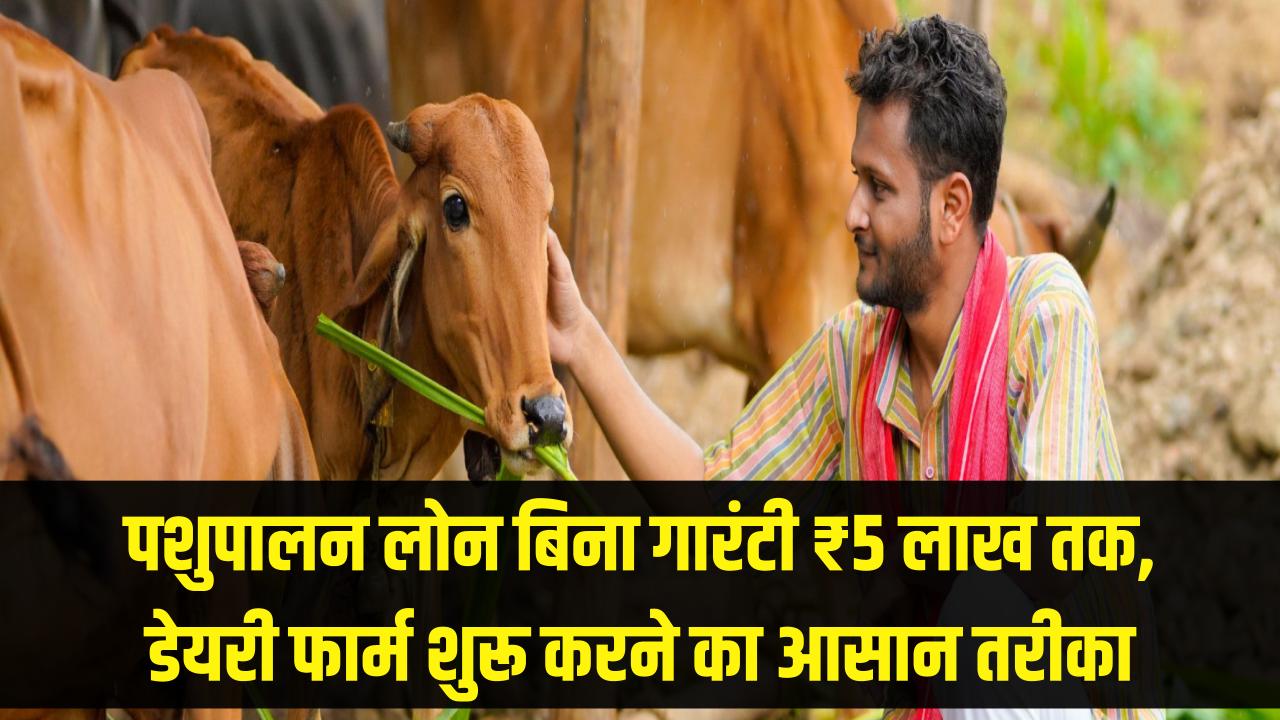 पशुपालन के लिए बिना गारंटी मिलेगा ₹5 लाख तक का लोन! डेयरी फार्म खोलने का सुनहरा मौका, जानें आवेदन की सबसे आसान प्रक्रिया