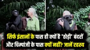 सिर्फ इंसानों के पास ही क्यों है 'ठोड़ी' (Chin)? बंदरों और चिम्पांजी के पास क्यों नहीं? वैज्ञानिकों ने आखिर सुलझा ही लिया यह रहस्य